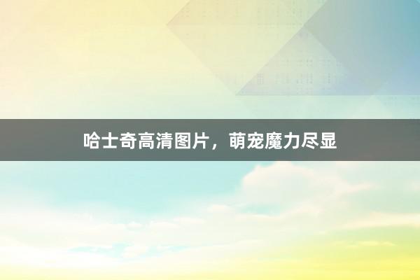 哈士奇高清图片，萌宠魔力尽显